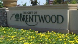 brentwood tn movers